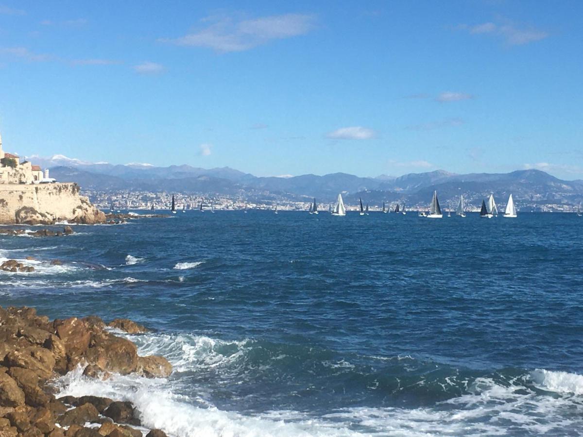 Tortue De Mer Antibes Exterior foto