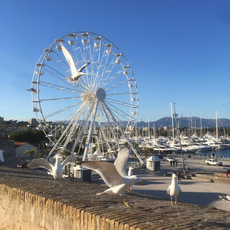 Tortue De Mer Antibes Exterior foto